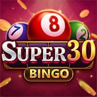 Super 30 Bingo screenshot